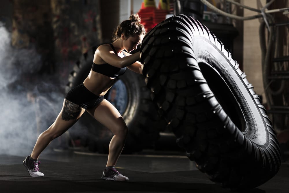 Tnt Champion Geschaft -Tnt Champion Geschaft truestim 93